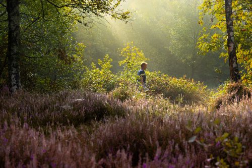 Heide (3)